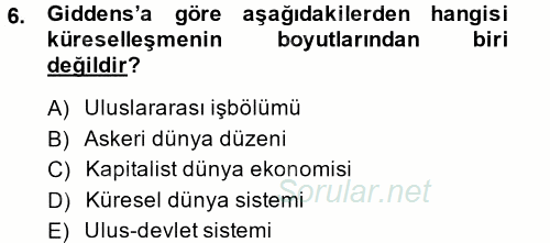 Sosyolojide Yakın Dönem Gelişmeler 2014 - 2015 Tek Ders Sınavı 6.Soru