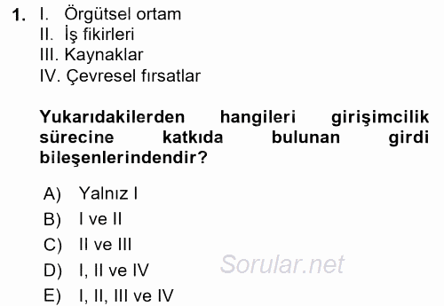 Girişimcilik 2017 - 2018 3 Ders Sınavı 1.Soru