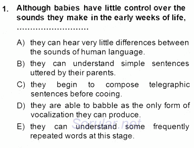 Dil Edinimi 2014 - 2015 Ara Sınavı 1.Soru