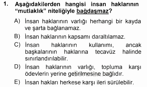 İnsan Hakları ve Demokratikleşme Süreci 2012 - 2013 Ara Sınavı 1.Soru