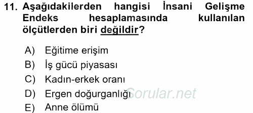 Ekonominin Güncel Sorunları 2015 - 2016 Ara Sınavı 11.Soru