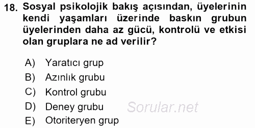 Sosyal Psikoloji 2 2017 - 2018 Ara Sınavı 18.Soru