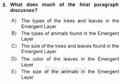 Okuma Ve Yazma Becerileri 1 2015 - 2016 Dönem Sonu Sınavı 5.Soru