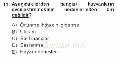 Veteriner Hizmetleri Mevzuatı ve Etik 2014 - 2015 Dönem Sonu Sınavı 11.Soru