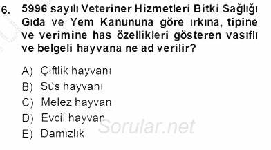 Veteriner Hizmetleri Mevzuatı ve Etik 2014 - 2015 Dönem Sonu Sınavı 6.Soru