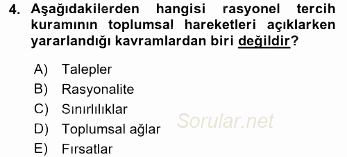 Yeni Toplumsal Hareketler 2017 - 2018 Dönem Sonu Sınavı 4.Soru