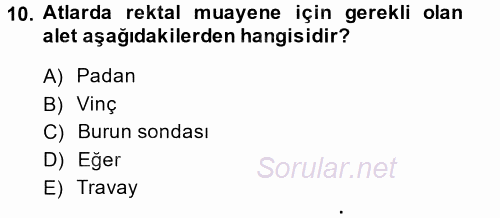 Temel Klinik Bilgisi 2014 - 2015 Dönem Sonu Sınavı 10.Soru