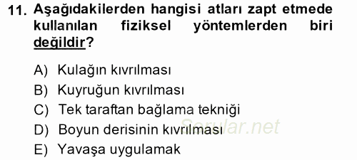 Temel Klinik Bilgisi 2014 - 2015 Dönem Sonu Sınavı 11.Soru