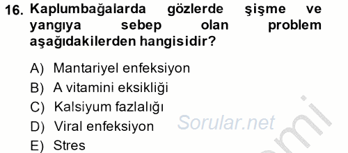 Temel Klinik Bilgisi 2014 - 2015 Dönem Sonu Sınavı 16.Soru