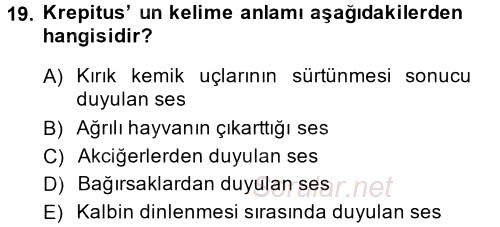Temel Klinik Bilgisi 2014 - 2015 Dönem Sonu Sınavı 19.Soru