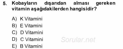 Temel Klinik Bilgisi 2014 - 2015 Dönem Sonu Sınavı 5.Soru