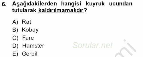 Temel Klinik Bilgisi 2014 - 2015 Dönem Sonu Sınavı 6.Soru