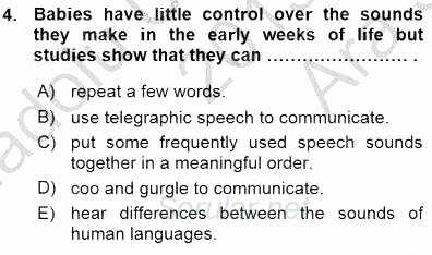Dil Edinimi 2015 - 2016 Ara Sınavı 4.Soru