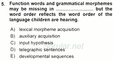 Dil Edinimi 2015 - 2016 Ara Sınavı 5.Soru