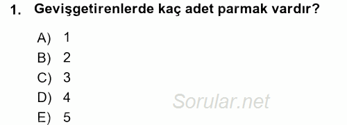 Temel Veteriner Anatomi 2015 - 2016 Ara Sınavı 1.Soru