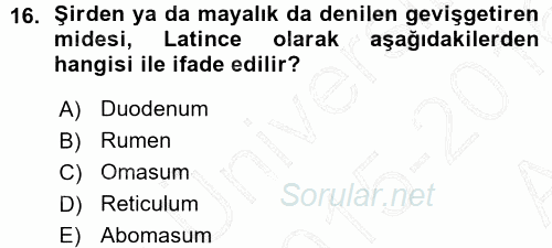 Temel Veteriner Anatomi 2015 - 2016 Ara Sınavı 16.Soru