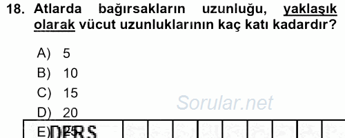 Temel Veteriner Anatomi 2015 - 2016 Ara Sınavı 18.Soru