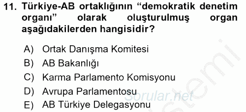 Avrupa Birliği ve Türkiye İlişkileri 2016 - 2017 Ara Sınavı 11.Soru