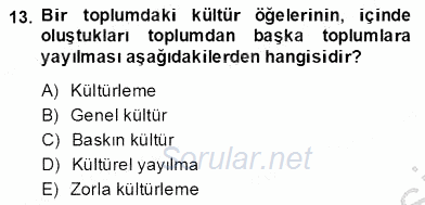 Küreselleşme ve Kültürlerarası İletişim 2013 - 2014 Dönem Sonu Sınavı 13.Soru