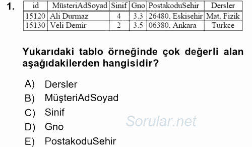 Veritabanı Sistemleri 2016 - 2017 Dönem Sonu Sınavı 1.Soru