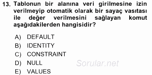 Veritabanı Sistemleri 2016 - 2017 Dönem Sonu Sınavı 13.Soru