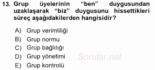 Sosyal Psikoloji 2 2015 - 2016 Ara Sınavı 13.Soru