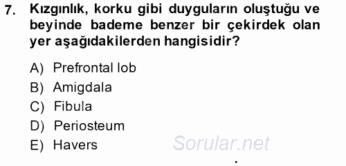 Etkili İletişim Teknikleri 2014 - 2015 Ara Sınavı 7.Soru