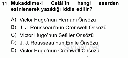 Eleştiri Tarihi 2014 - 2015 Ara Sınavı 11.Soru