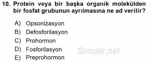 İnsan Beden Yapısı Ve Fizyolojisi 2016 - 2017 Ara Sınavı 10.Soru