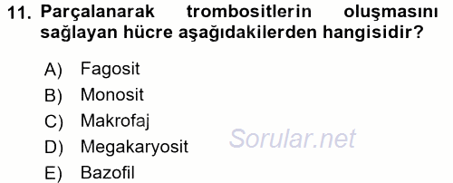 İnsan Beden Yapısı Ve Fizyolojisi 2016 - 2017 Ara Sınavı 11.Soru