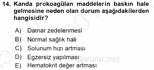 İnsan Beden Yapısı Ve Fizyolojisi 2016 - 2017 Ara Sınavı 14.Soru