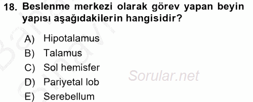 İnsan Beden Yapısı Ve Fizyolojisi 2016 - 2017 Ara Sınavı 18.Soru