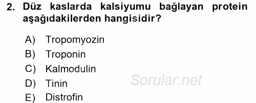 İnsan Beden Yapısı Ve Fizyolojisi 2016 - 2017 Ara Sınavı 2.Soru