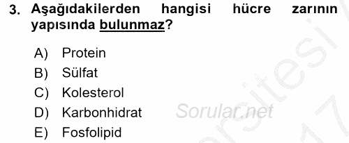 İnsan Beden Yapısı Ve Fizyolojisi 2016 - 2017 Ara Sınavı 3.Soru