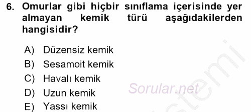 İnsan Beden Yapısı Ve Fizyolojisi 2016 - 2017 Ara Sınavı 6.Soru