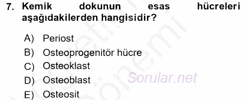 İnsan Beden Yapısı Ve Fizyolojisi 2016 - 2017 Ara Sınavı 7.Soru