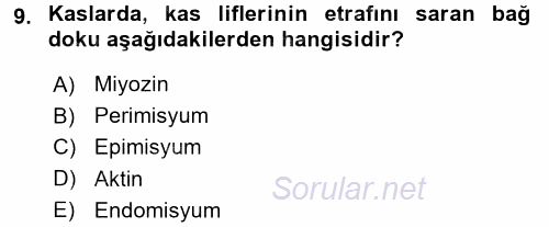 İnsan Beden Yapısı Ve Fizyolojisi 2016 - 2017 Ara Sınavı 9.Soru