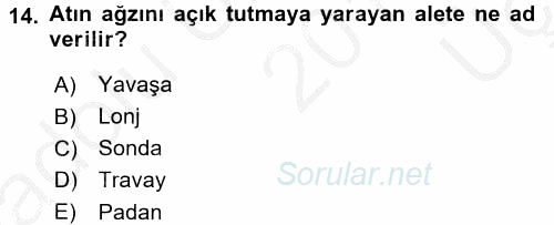 Temel Klinik Bilgisi 2016 - 2017 3 Ders Sınavı 14.Soru