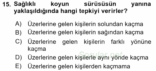 Temel Klinik Bilgisi 2016 - 2017 3 Ders Sınavı 15.Soru