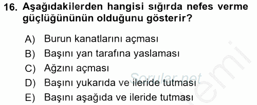 Temel Klinik Bilgisi 2016 - 2017 3 Ders Sınavı 16.Soru