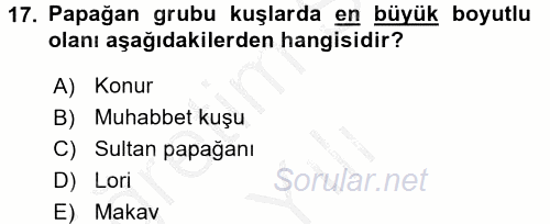 Temel Klinik Bilgisi 2016 - 2017 3 Ders Sınavı 17.Soru