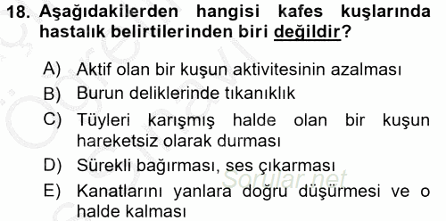 Temel Klinik Bilgisi 2016 - 2017 3 Ders Sınavı 18.Soru