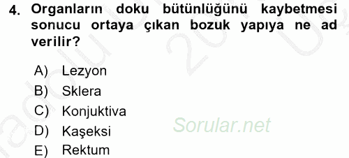 Temel Klinik Bilgisi 2016 - 2017 3 Ders Sınavı 4.Soru