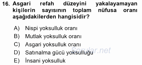 Gelir Dağılımı ve Yoksulluk 2016 - 2017 Dönem Sonu Sınavı 16.Soru