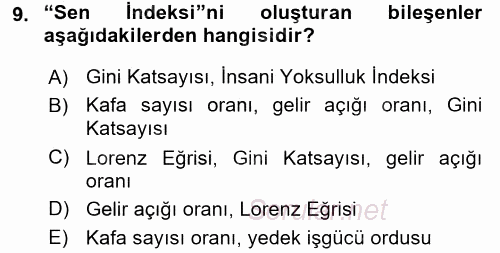 Gelir Dağılımı ve Yoksulluk 2016 - 2017 Dönem Sonu Sınavı 9.Soru