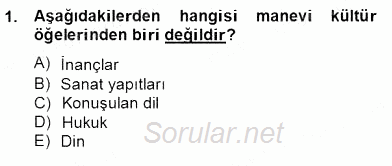 Küreselleşme ve Kültürlerarası İletişim 2012 - 2013 Dönem Sonu Sınavı 1.Soru