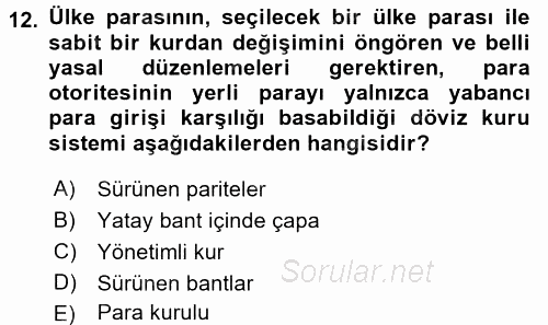 Finansal Ekonomi 2016 - 2017 Dönem Sonu Sınavı 12.Soru