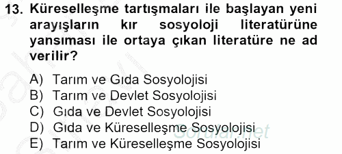 Toplumsal Tabakalaşma ve Eşitsizlik 2012 - 2013 Ara Sınavı 13.Soru