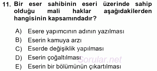 Elektronik Ticaret 2017 - 2018 3 Ders Sınavı 11.Soru