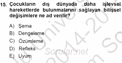 Erken Çocukluk Döneminde Gelişim 1 2014 - 2015 Dönem Sonu Sınavı 15.Soru